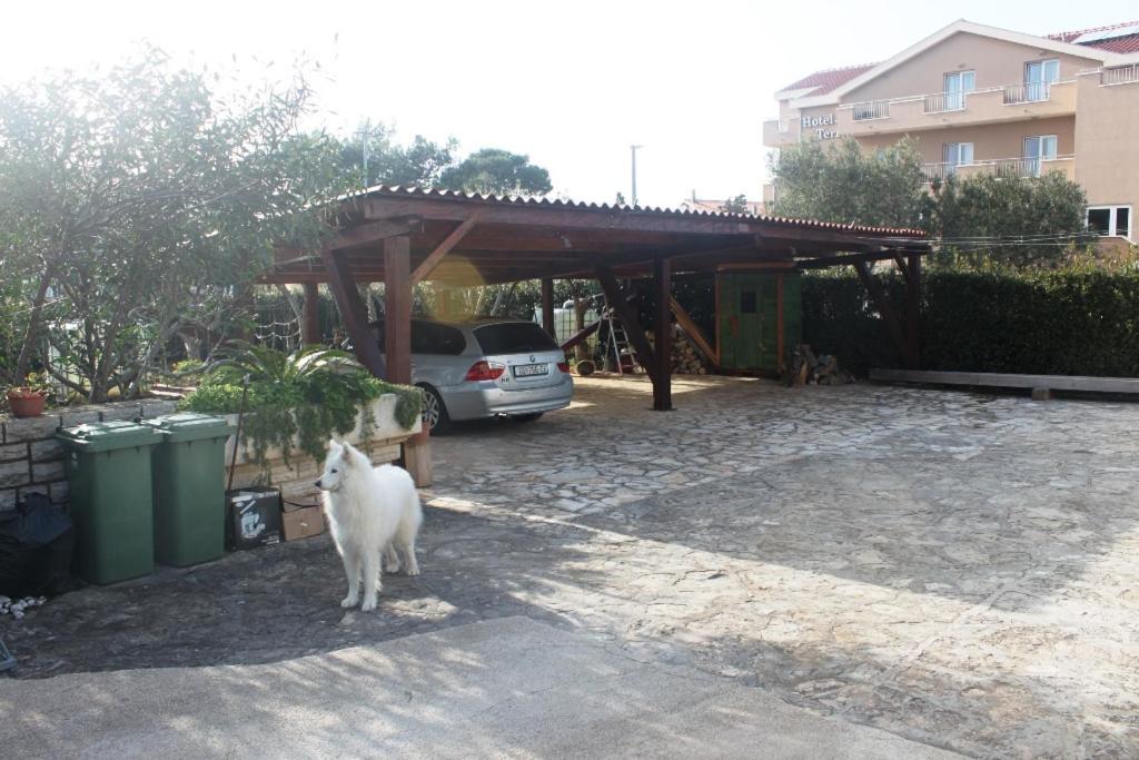 Summer House In Novalja Bagian luar foto